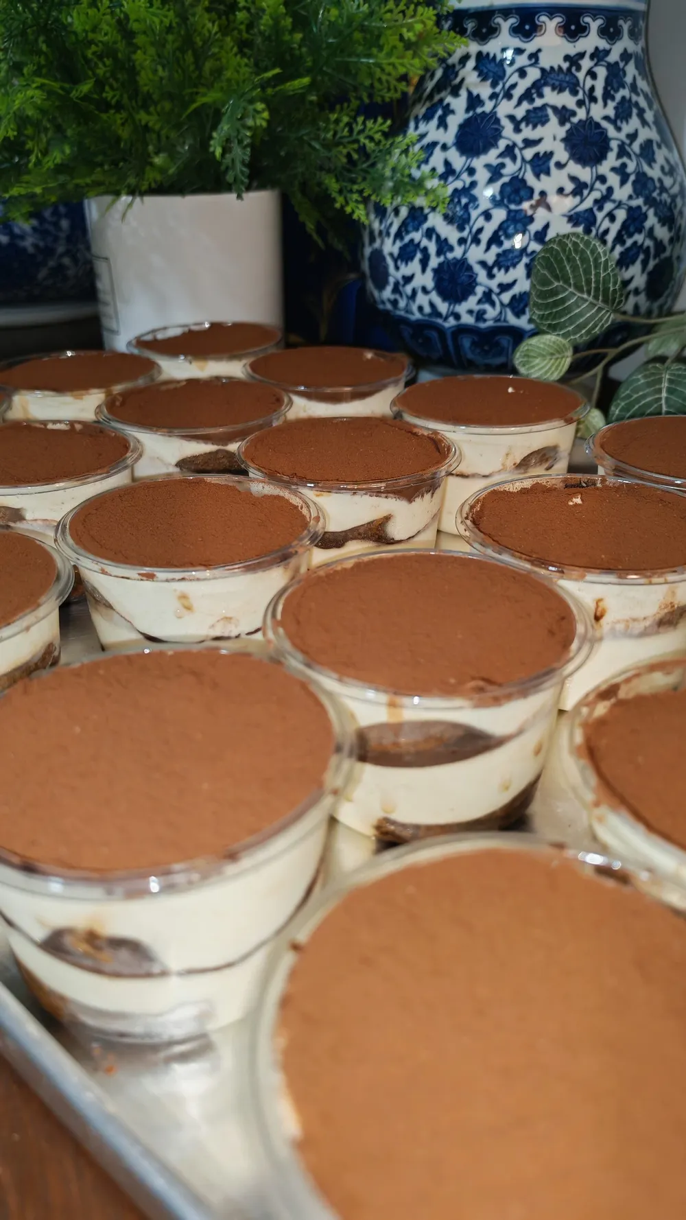 Tiramisu Cup  (Bundle of 6) 